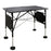 Master Massage Mars Foldable and Portable Athlete Support Hub and Sports Training Treatment Recovery Station Desk